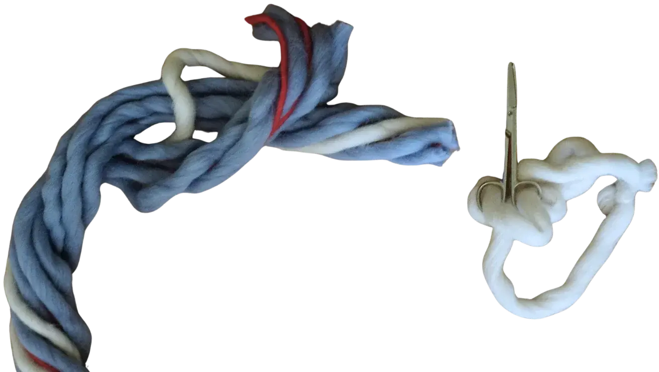 A hand-woven umbilical cord in blue, cream and red yarn, cut through, with a pair of scissors in a white knotted cord beside it